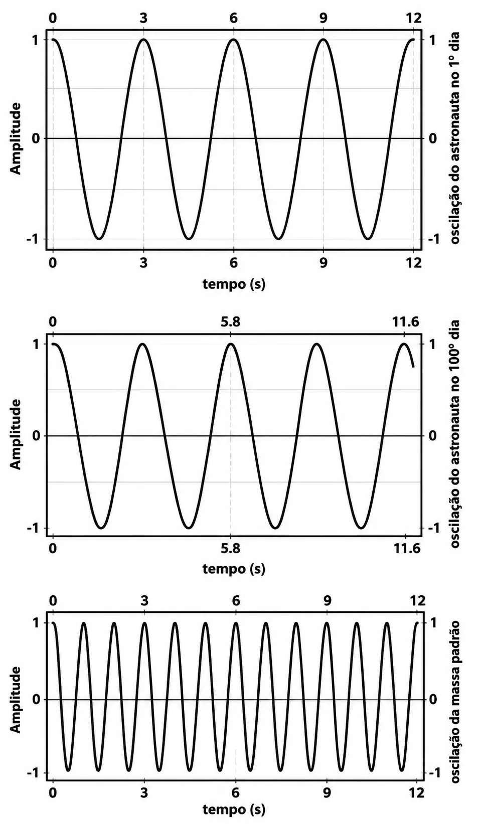 Gráficos de oscilação senoidal de posição x tempo para o 1º dia, 100º dia e massa padrão de 6 kg