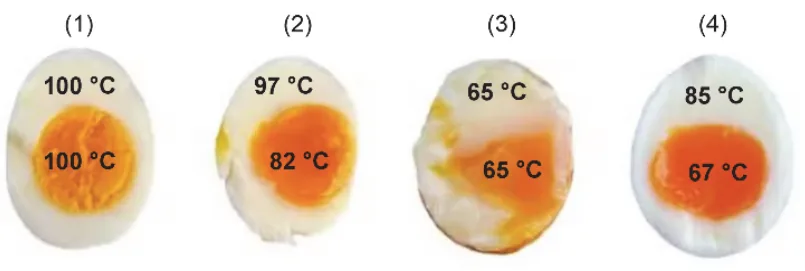 Quatro ovos cozidos comparando temperaturas de clara e gema para os métodos 1, 2, 3 e 4