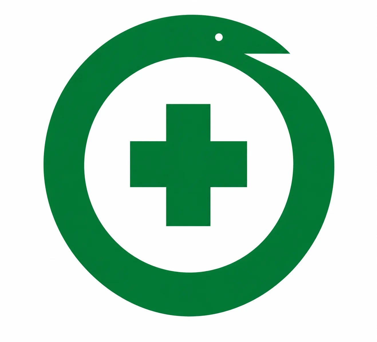 Logo Santa Casa